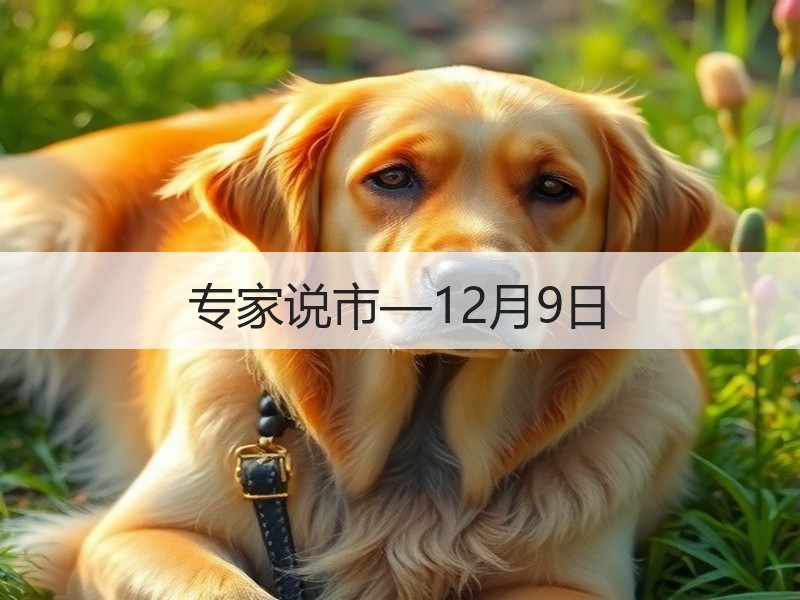 专家说市—12月9日