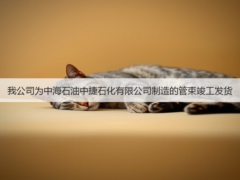 我公司为中海石油中捷石化有限公司制造的管束竣工发货