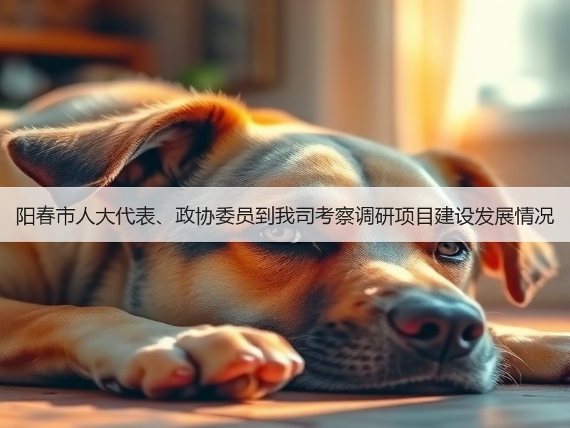 阳春市人大代表、政协委员到我司考察调研项目建设发展情况