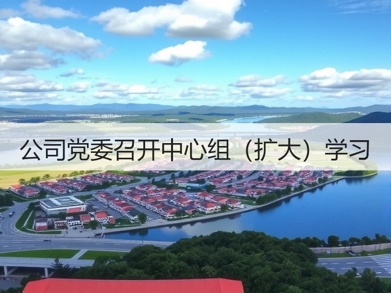 公司党委召开中心组（扩大）学习