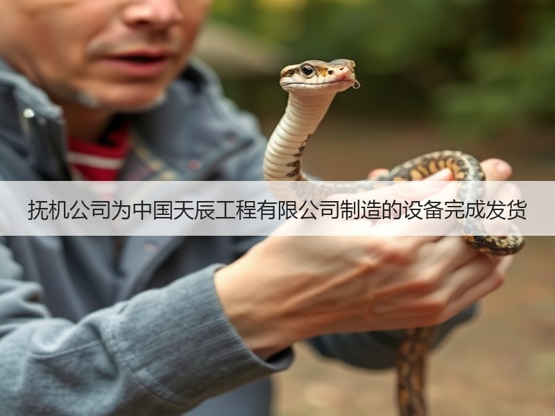 抚机公司为中国天辰工程有限公司制造的设备完成发货