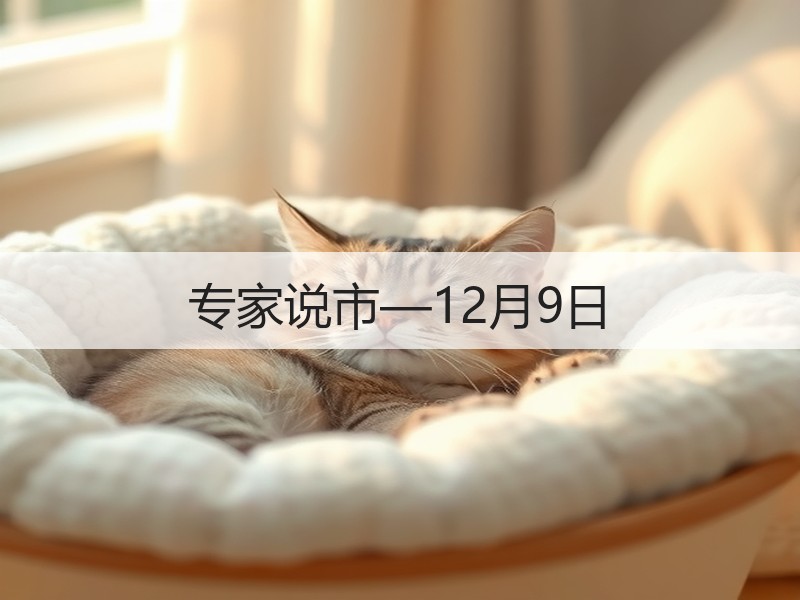 专家说市—12月9日
