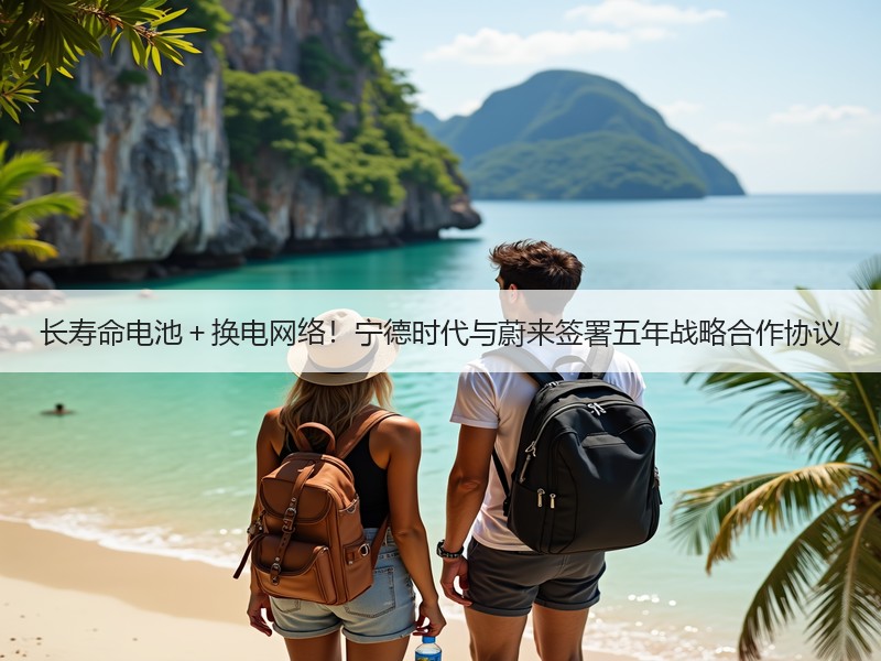 长寿命电池＋换电网络！宁德时代与蔚来签署五年战略合作协议
