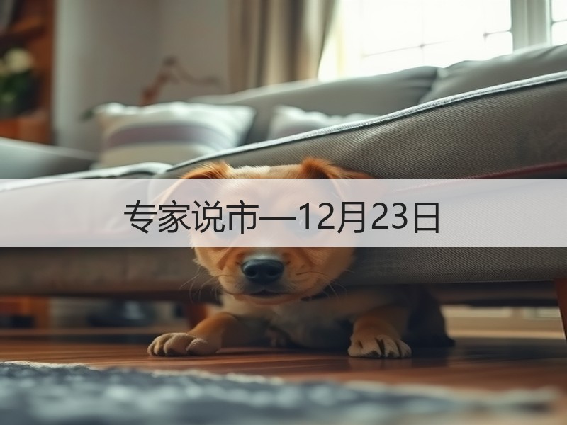 专家说市—12月23日