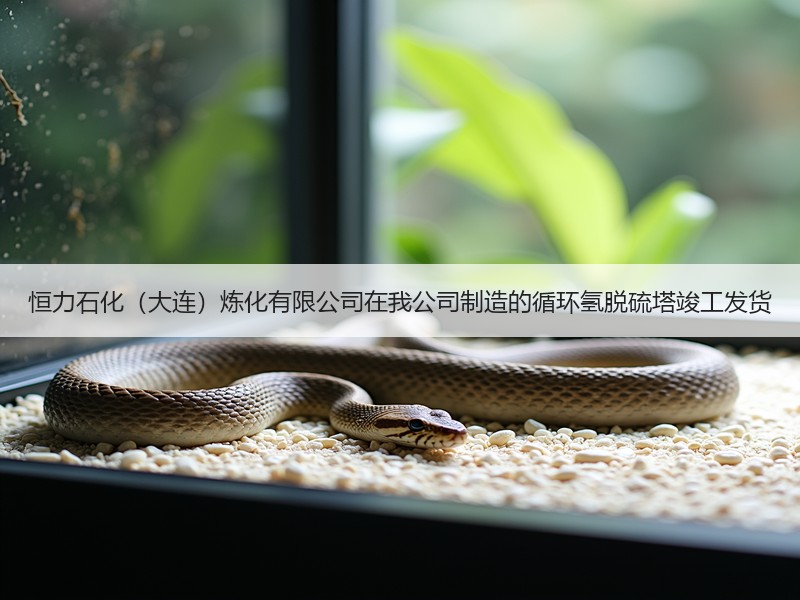 恒力石化（大连）炼化有限公司在我公司制造的循环氢脱硫塔竣工发货
