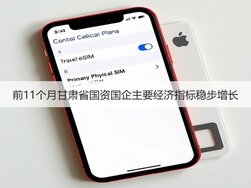 前11个月甘肃省国资国企主要经济指标稳步增长