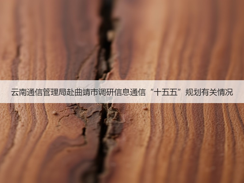 云南通信管理局赴曲靖市调研信息通信“十五五”规划有关情况