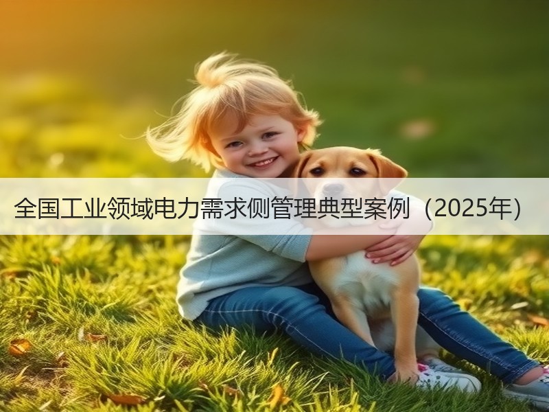 全国工业领域电力需求侧管理典型案例（2025年）