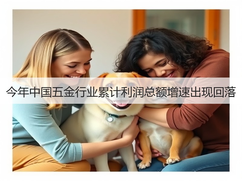 今年中国五金行业累计利润总额增速出现回落