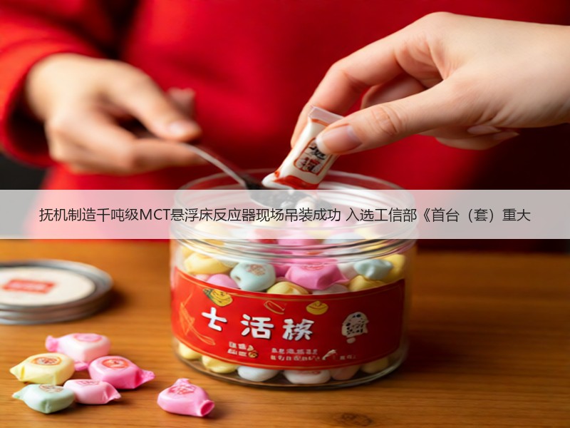 抚机制造千吨级MCT悬浮床反应器现场吊装成功 入选工信部《首台（套）重大