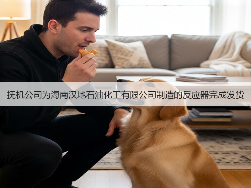 抚机公司为海南汉地石油化工有限公司制造的反应器完成发货