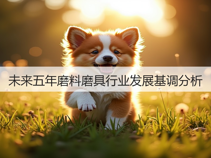 未来五年磨料磨具行业发展基调分析
