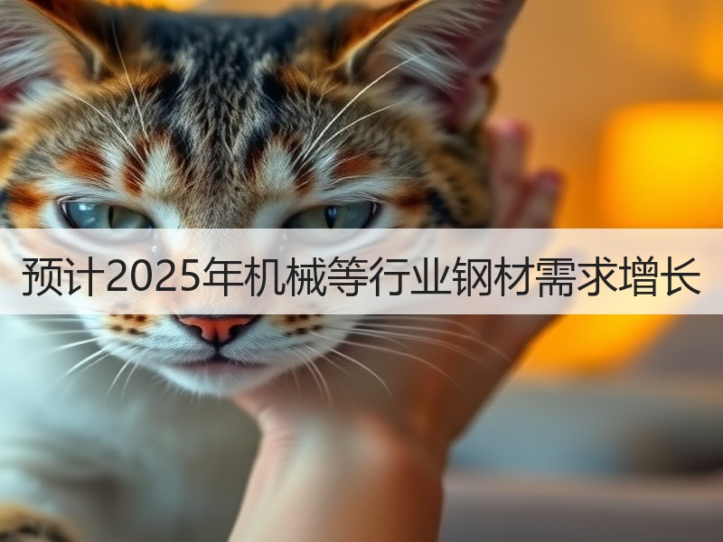 预计2025年机械等行业钢材需求增长