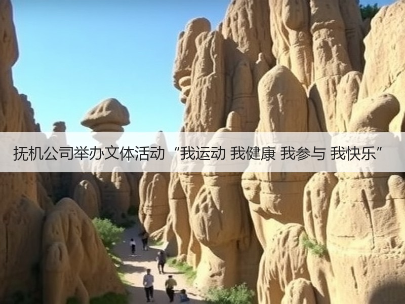 抚机公司举办文体活动“我运动 我健康 我参与 我快乐”