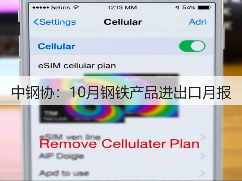 中钢协：10月钢铁产品进出口月报