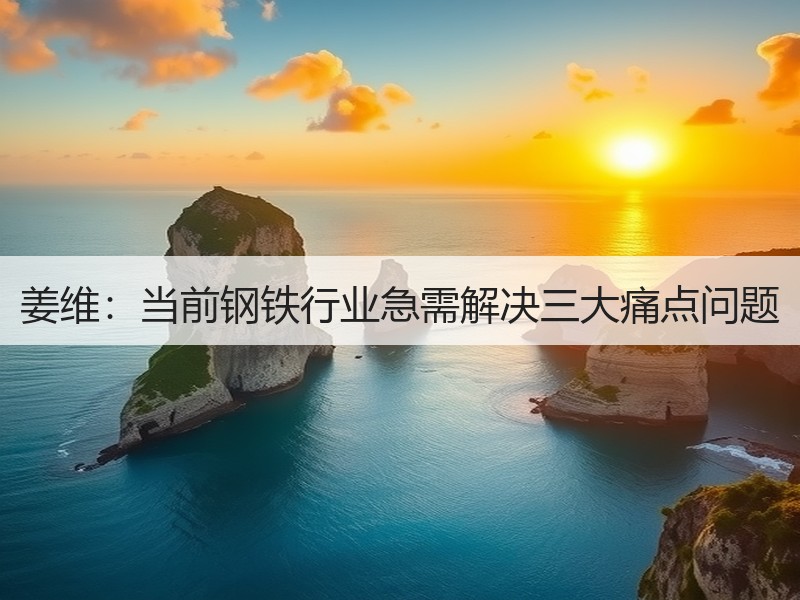 姜维：当前钢铁行业急需解决三大痛点问题