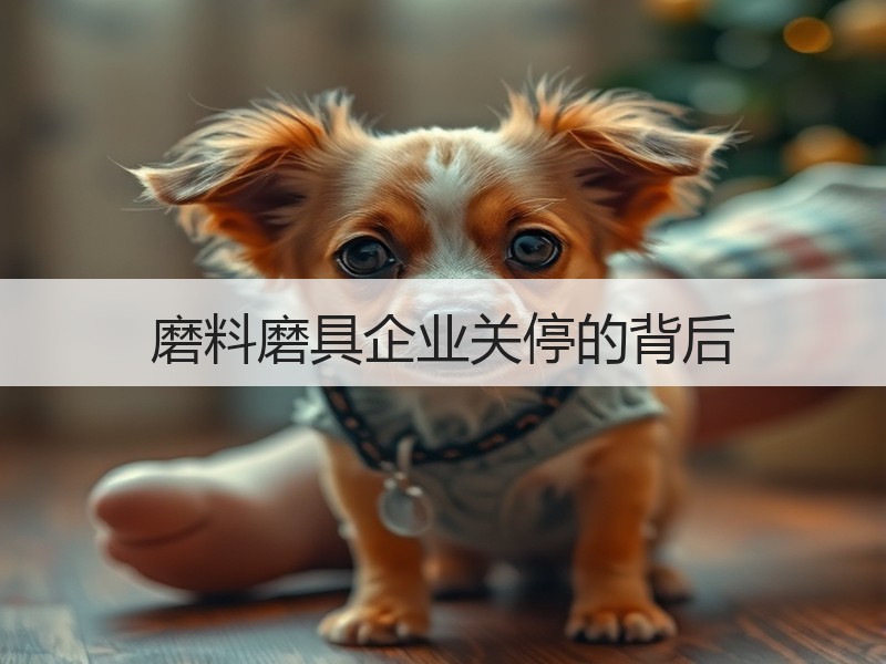 磨料磨具企业关停的背后