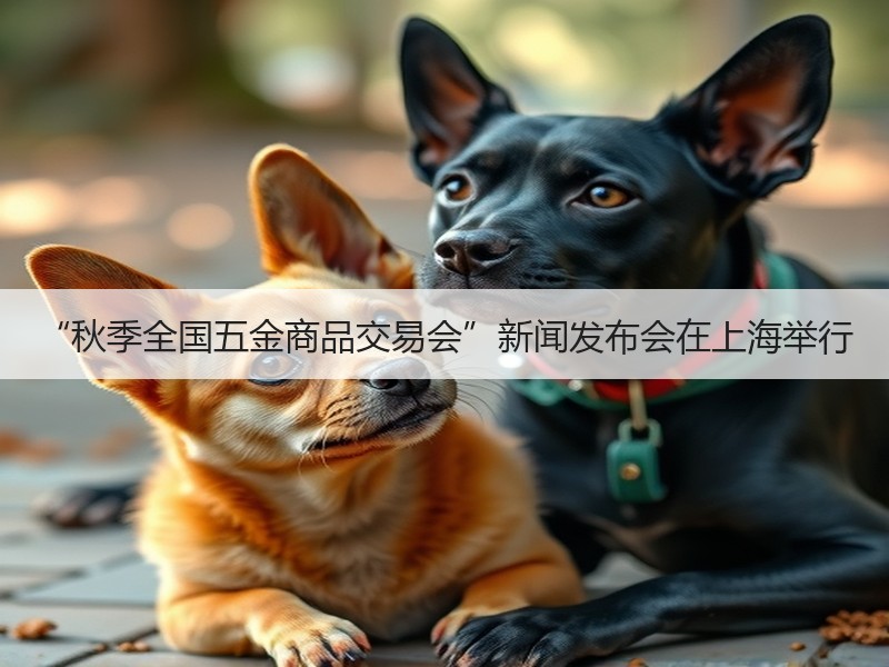 “秋季全国五金商品交易会”新闻发布会在上海举行