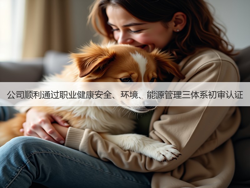公司顺利通过职业健康安全、环境、能源管理三体系初审认证