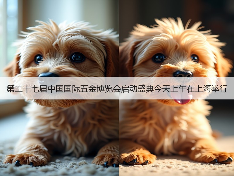 第二十七届中国国际五金博览会启动盛典今天上午在上海举行