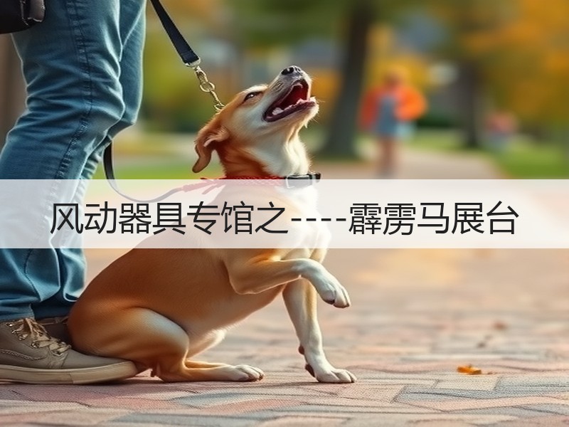 风动器具专馆之----霹雳马展台
