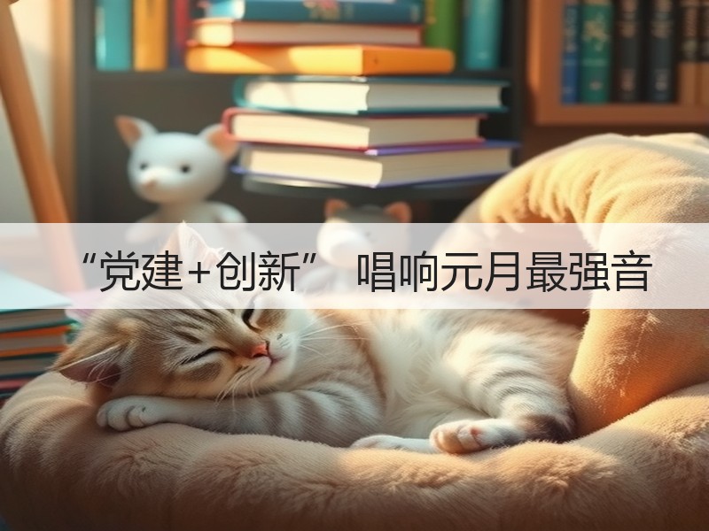 “党建+创新” 唱响元月最强音