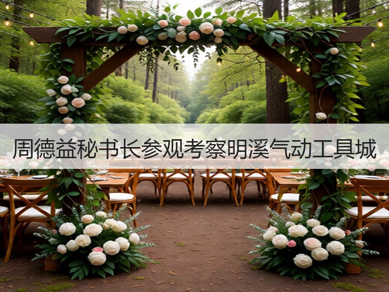 周德益秘书长参观考察明溪气动工具城