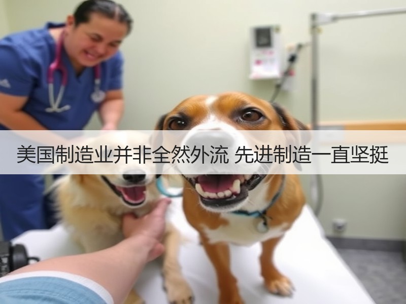 美国制造业并非全然外流 先进制造一直坚挺