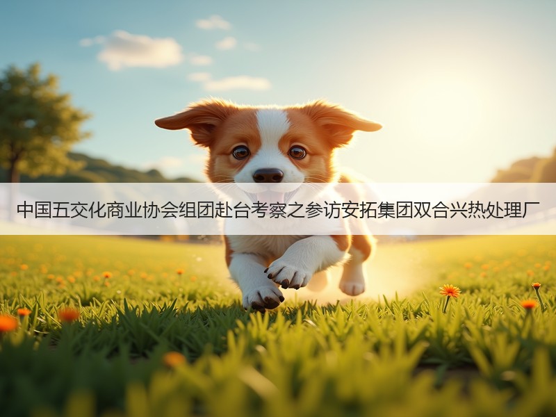 中国五交化商业协会组团赴台考察之参访安拓集团双合兴热处理厂