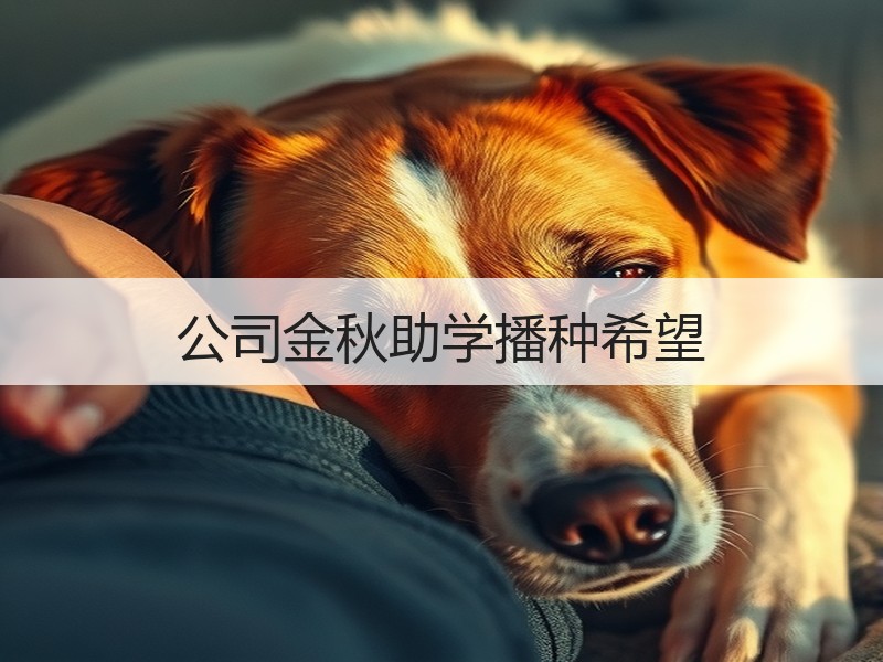 公司金秋助学播种希望