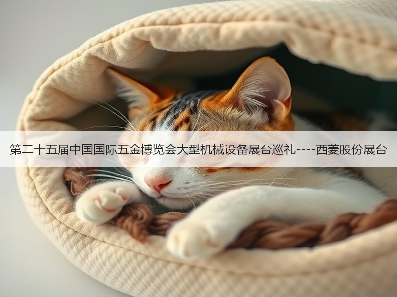 第二十五届中国国际五金博览会大型机械设备展台巡礼----西菱股份展台