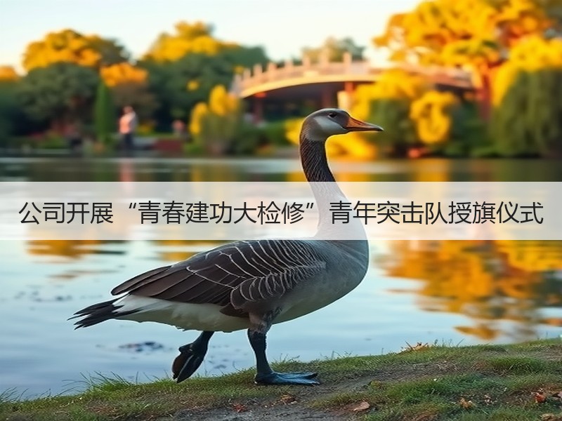 公司开展“青春建功大检修”青年突击队授旗仪式