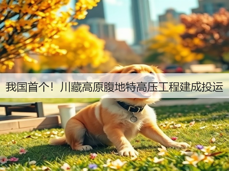 我国首个！川藏高原腹地特高压工程建成投运