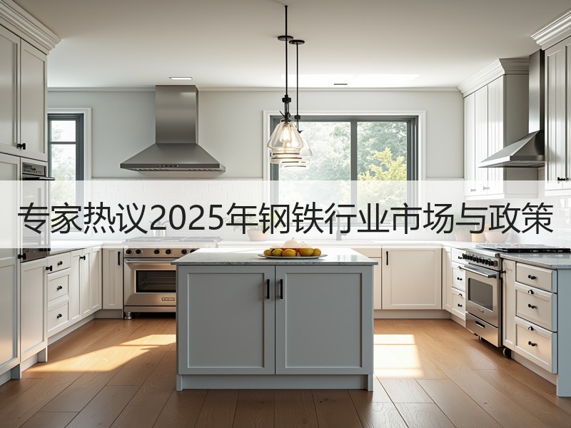 专家热议2025年钢铁行业市场与政策