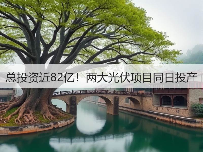 总投资近82亿！两大光伏项目同日投产