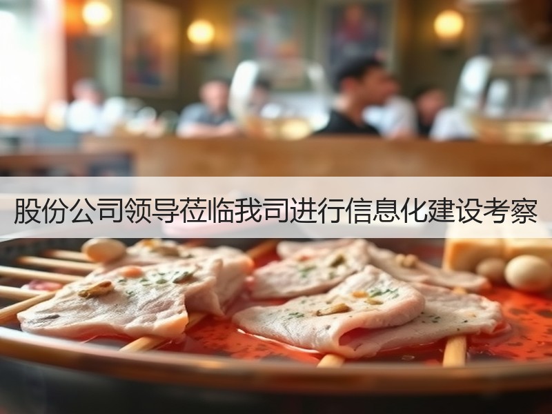 股份公司领导莅临我司进行信息化建设考察